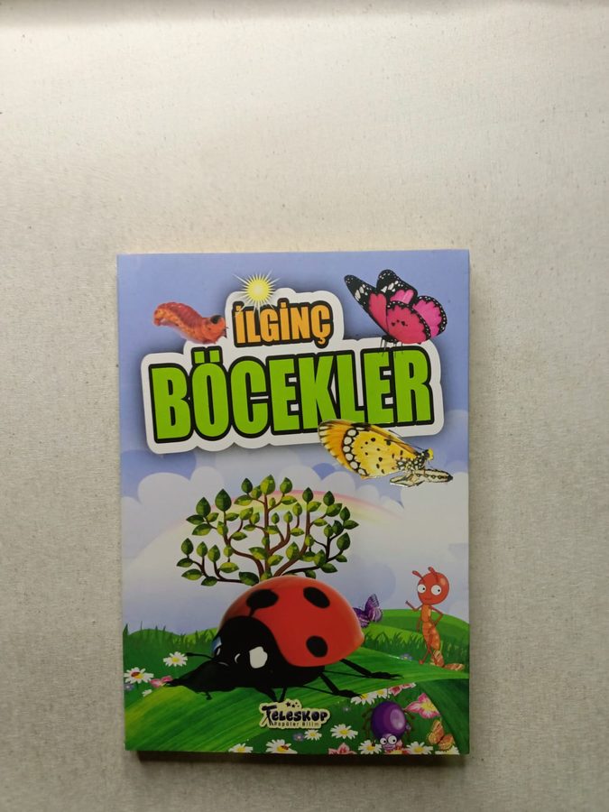 İlginç Böcekler