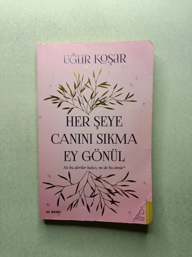 Her Şeye Canını Sıkma Ey Gönül
